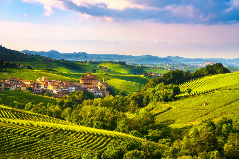 Langhe,Vineyards,Panorama,,Barolo,Village,,Unesco,Site,,Piedmont,,Northern,Italy